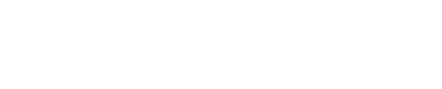 Dummy logo